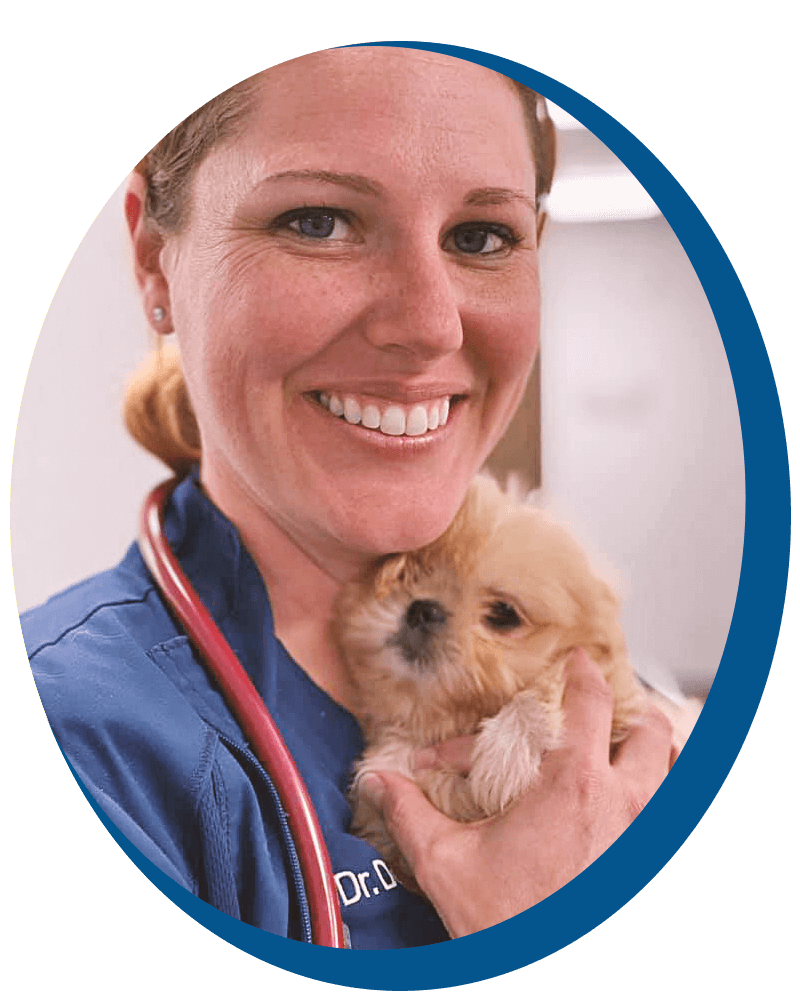 eclipse-puppy-graphic vet and puppy