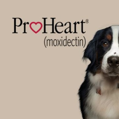 ProHeart 12 Photo